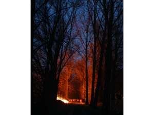 Osterfeuer 2006